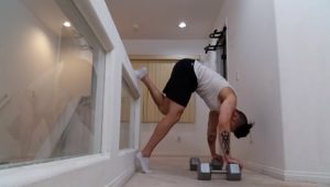 Handstandpushup.com Intermediate Handstand Push Up Guide 90 Degree push up start position