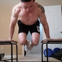Planche shop push ups