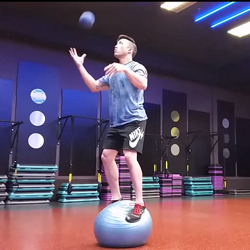 Handstandpushup.com Handstand Push-Up Beginner to AdvancedFull Body Workout 10 Exercise Ball Squats With Sand Ball Toss blue