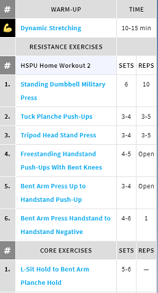 Handstandpushup.com Handstand Push-Up Home Workout 2 Exercise List White