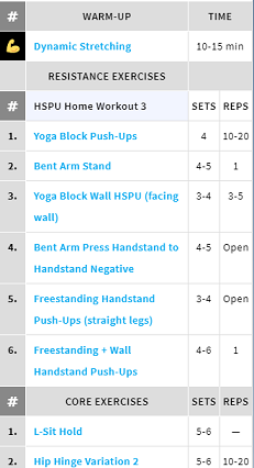Handstandpushup.com Handstand Push-Up Home Workout 3 Exercise List Progression White