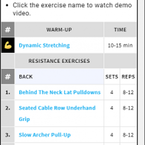 Handstandpushup.com Handstand Push Up Beginner to Advanced Back Workout 8 Exercise List blue white black