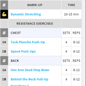 Handstandpushup.com handstand push-up Beginner to Advanced full body workout 10 exercise list blue and white