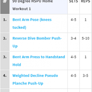 Handstandpushup.com 90 Degree Handstand Push-Up Home Workout 1 Exercise List White 90 degree push-up