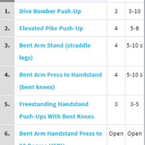 Handstandpushup.com 90 Degree Handstand Push-Up Home Workout 2 Exercise List White 90 degree push-up