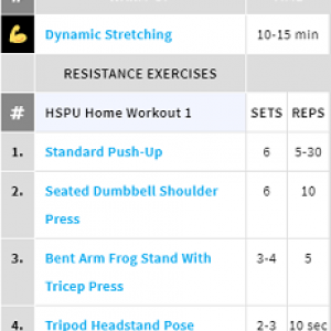 Handstandpushup.com Handstand Push-Up Home Workout 1 Exercise List White