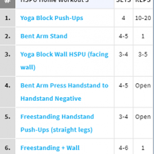 Handstandpushup.com Handstand Push-Up Home Workout 3 Exercise List Progression White
